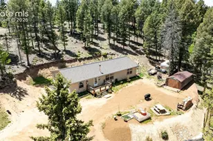 44 Silver Trail, Florissant, CO 80816 - Photo 27