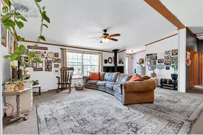 44 Silver Trail, Florissant, CO 80816 - Photo 5