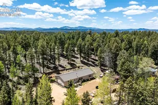 44 Silver Trail, Florissant, CO 80816 - Photo 29
