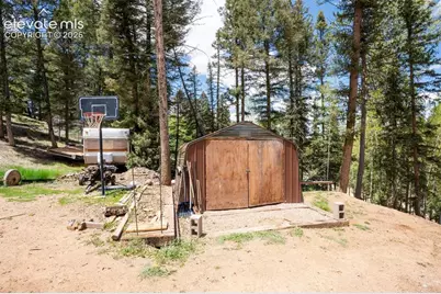 44 Silver Trail, Florissant, CO 80816 - Photo 25