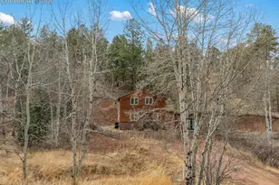 325 Willow Rd, Divide, CO 80814 - Photo 39