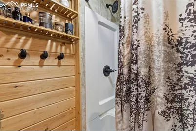 325 Willow Road, Divide, CO 80814 - Photo 21