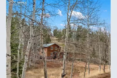 325 Willow Road, Divide, CO 80814 - Photo 41