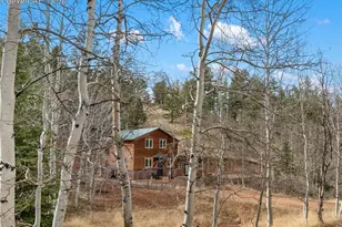 325 Willow Rd, Divide, CO 80814 - Photo 41