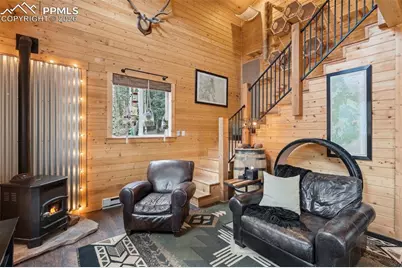 325 Willow Road, Divide, CO 80814 - Photo 5