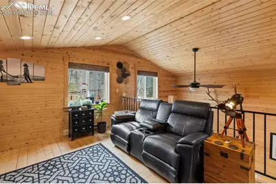 325 Willow Road, Divide, CO 80814 - Photo 15