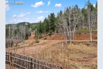 325 Willow Road, Divide, CO 80814 - Photo 45