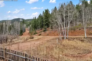 325 Willow Rd, Divide, CO 80814 - Photo 45