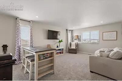 10142 Thrive Lane, Colorado Springs, CO 80924 - Photo 19