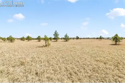 18150 Pinon Park Road, Peyton, CO 80831 - Photo 21