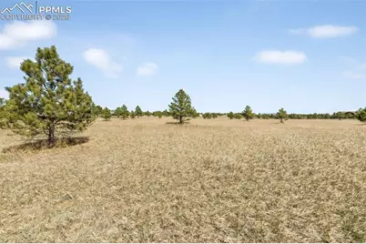 18150 Pinon Park Road, Peyton, CO 80831 - Photo 19