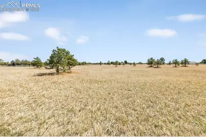 18150 Pinon Park Road, Peyton, CO 80831 - Photo 11