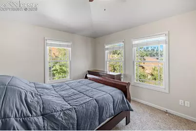 446 Winter Street, Manitou Springs, CO 80829 - Photo 21