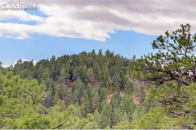 15825 Henry Ride Heights, Colorado Springs, CO 80926 - Photo 21