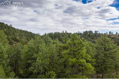 15825 Henry Ride Heights, Colorado Springs, CO 80926 - Photo 17