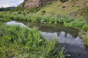 7275 Hwy 9, Guffey, CO 80820 - Photo 3