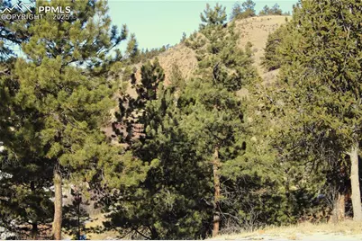 7275 Highway 9, Guffey, CO 80820 - Photo 9