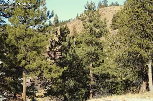 7275 Hwy 9, Guffey, CO 80820 - Photo 9