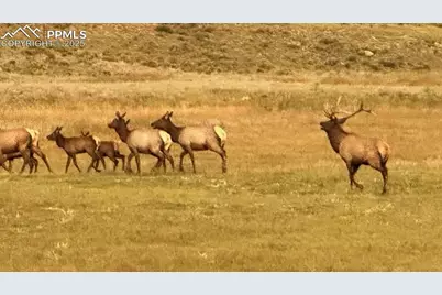 7275 Highway 9, Guffey, CO 80820 - Photo 11