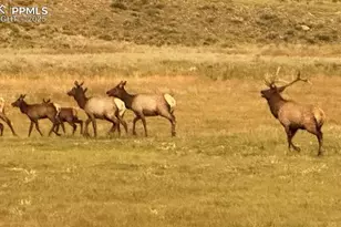 7275 Hwy 9, Guffey, CO 80820 - Photo 11