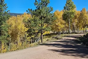 7275 Hwy 9, Guffey, CO 80820 - Photo 5