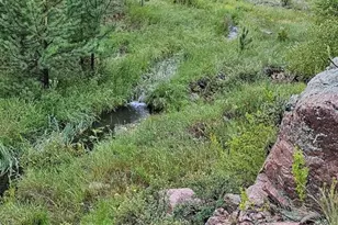 7275 Hwy 9, Guffey, CO 80820 - Photo 17