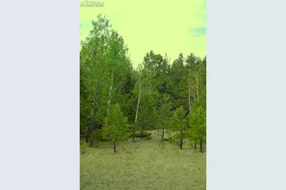 7275 Highway 9, Guffey, CO 80820 - Photo 27