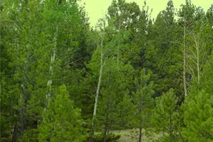 7275 Hwy 9, Guffey, CO 80820 - Photo 27