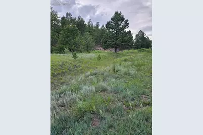 7275 Highway 9, Guffey, CO 80820 - Photo 19