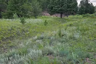 7275 Hwy 9, Guffey, CO 80820 - Photo 19