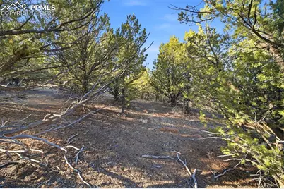 94 Piute Drive, Canon City, CO 81212 - Photo 11