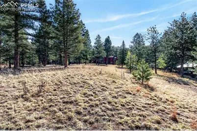 55 Ponderosa Lane, Woodland Park, CO 80863 - Photo 41
