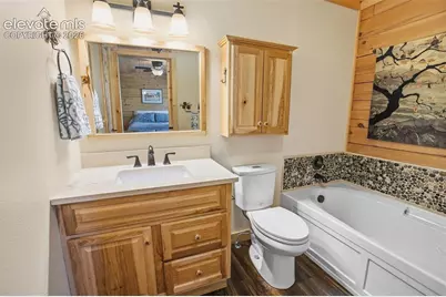 875 Hackamore Drive, Florissant, CO 80816 - Photo 9