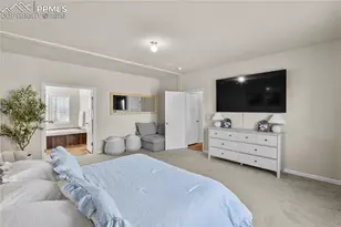 7647 Black Bear Point, Colorado Springs, CO 80922 - Photo 13