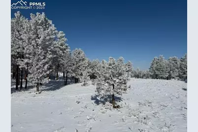 12188 Goodson Road, Colorado Springs, CO 80908 - Photo 3