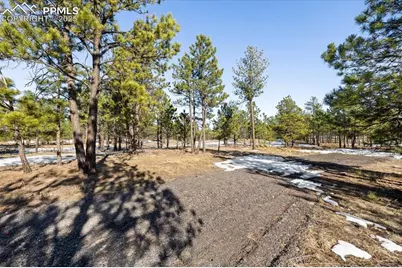 12188 Goodson Road, Colorado Springs, CO 80908 - Photo 9