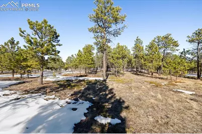 12188 Goodson Road, Colorado Springs, CO 80908 - Photo 13