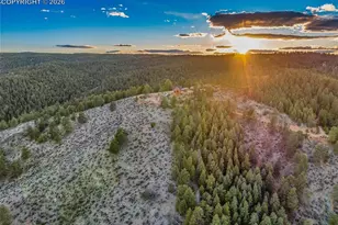 29549 N Hwy 67, Woodland Park, CO 80863 - Photo 49