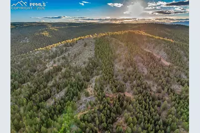 29549 N Highway 67, Woodland Park, CO 80863 - Photo 47