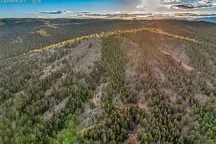 29549 N Hwy 67, Woodland Park, CO 80863 - Photo 47