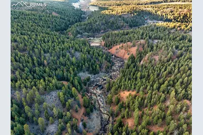 29549 N Highway 67, Woodland Park, CO 80863 - Photo 43