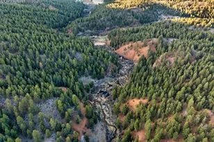 29549 N Hwy 67, Woodland Park, CO 80863 - Photo 43