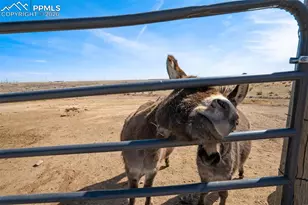 6670 Indian Village Heights, Fountain, CO 80817 - Photo 29