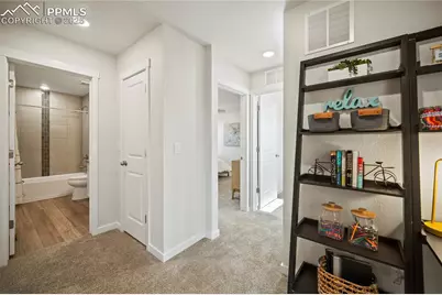 9127 Golden Buffs Drive, Colorado Springs, CO 80925 - Photo 21