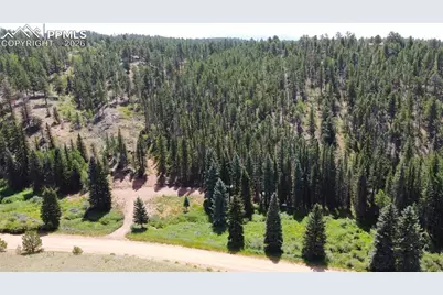 1570 Pathfinder Road, Florissant, CO 80816 - Photo 3