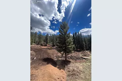 1570 Pathfinder Road, Florissant, CO 80816 - Photo 9