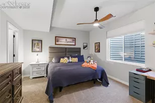 10008 Emerald Lk Ln, Colorado Springs, CO 80924 - Photo 37