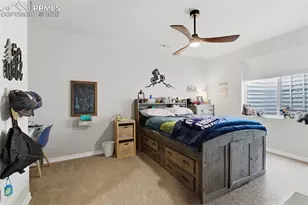 10008 Emerald Lk Ln, Colorado Springs, CO 80924 - Photo 35