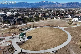 10008 Emerald Lk Ln, Colorado Springs, CO 80924 - Photo 43