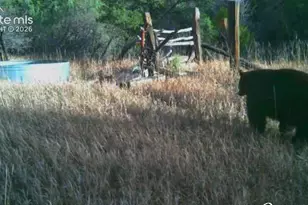 28790 County Road 63 1, Aguilar, CO 81020 - Photo 27
